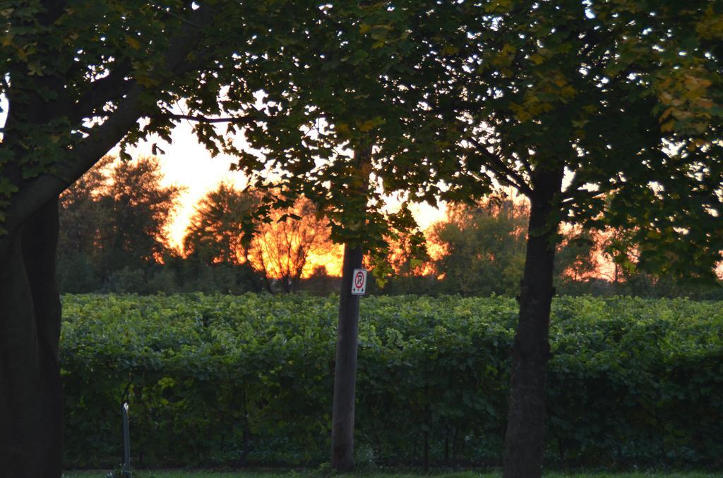 Old Town Country Landing Bed and Breakfast Niagara-on-the-Lake Εξωτερικό φωτογραφία